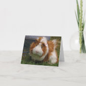 こんにちはそこに! (こっけい者) カード (正面)