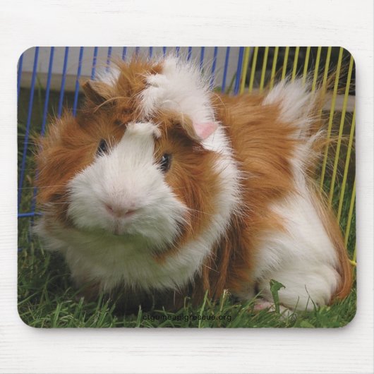 こんにちはそこに! (マウスパッド) マウスパッド (正面)