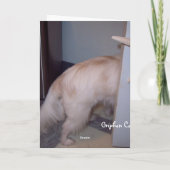 こんにちはの子犬をするWhatchaか。 カード (裏面)