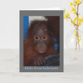 こんにちはインドネシアのオランウータンの写真から カード (黄色い花)