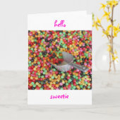 こんにちはキャンディの挨拶状 カード (黄色い花)