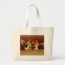 こんにちはキリン