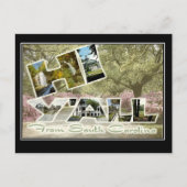 こんにちはサウスカロライナのヴィンテージ旅行郵便はがきから ポストカード (正面)