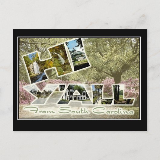 こんにちはサウスカロライナのヴィンテージ旅行郵便はがきから ポストカード (正面)