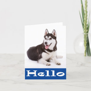 こんにちはシベリアンハスキーの小犬のブランクのメッセージカード カード
