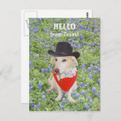 こんにちはテキサス州! ポストカード (正面/裏面)