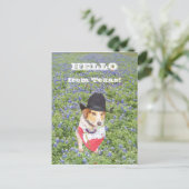 こんにちはテキサス州! ポストカード (スタンド正面)