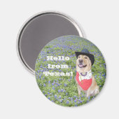 こんにちはテキサス州! マグネット (正面/裏面)