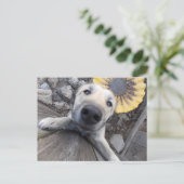 こんにちはドギーはがき ポストカード (スタンド正面)