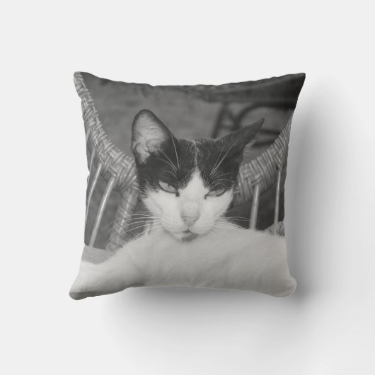 こんにちはニャー… クッション (裏面)