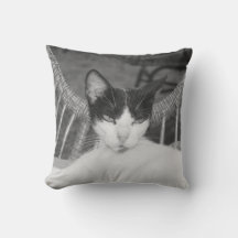 こんにちはニャー…