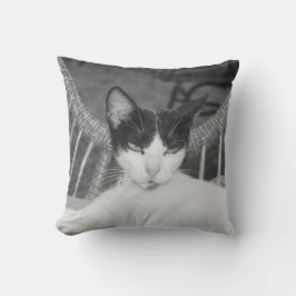 こんにちはニャー… クッション