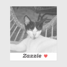 こんにちはニャー… シール