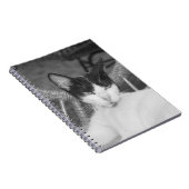 こんにちはニャー… ノートブック (右側)