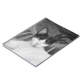 こんにちはニャー… ノートブック (左側)