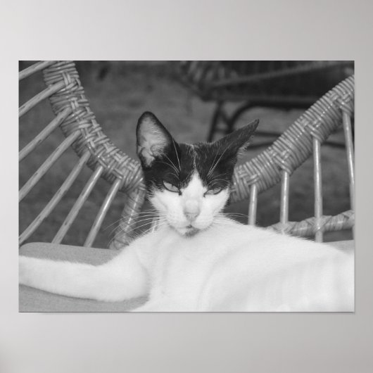 こんにちはニャー… ポスター (正面)