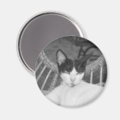 こんにちはニャー… マグネット (正面/裏面)