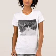 こんにちはニャー…