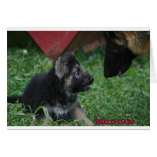 こんにちはパパ