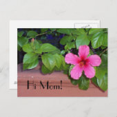 こんにちはママ！花はがき ポストカード (正面/裏面)