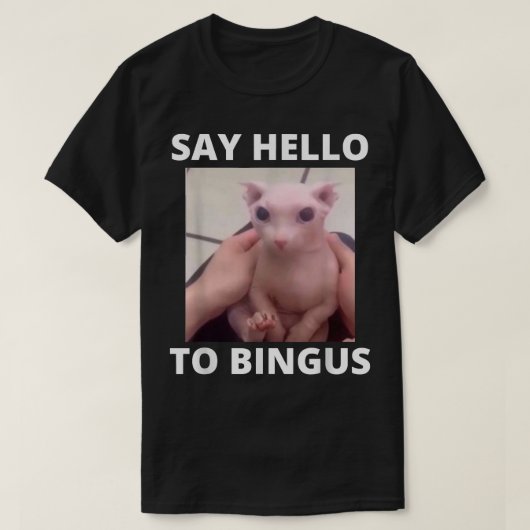 こんにちは可愛いハゲBingus私の最愛の毛なしスペ Tシャツ (デザイン正面)