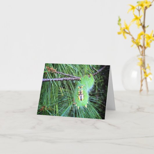 こんにちは幼虫のnotecard カード (黄色い花)