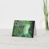 こんにちは幼虫のnotecard カード (正面)