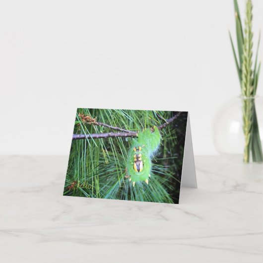 こんにちは幼虫のnotecard カード (正面)