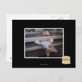 こんにちは私はあなたのRAMをアップグレードした ポストカード (正面/裏面)