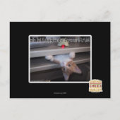 こんにちは私はあなたのRAMをアップグレードした ポストカード (正面)