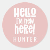 こんにちは私はここで新しモダンい誕生ピンクガーリー ラウンドシール (正面)