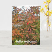 こんにちは秋 カード (黄色い花)