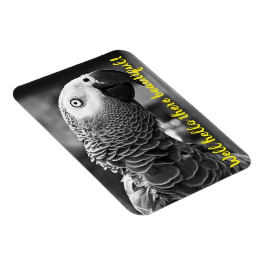 こんにちは美しい – 不気味な灰色のオウム マグネット (右側)