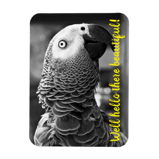 こんにちは美しい – 不気味な灰色のオウム マグネット (縦)