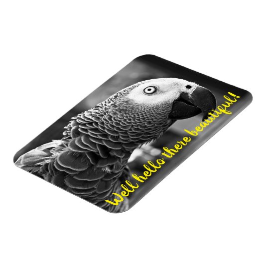 こんにちは美しい – 不気味な灰色のオウム マグネット (左側)