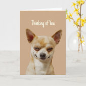 こんにちは考えの笑いチワおもしろいワ カード (黄色い花)