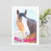 こんにちは豪華な馬の誕生日カード カード (スタンド正面)