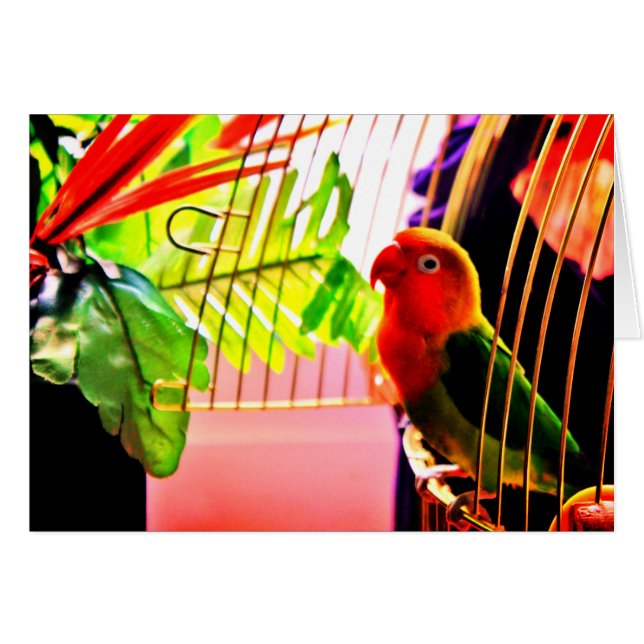 こんにちは！ (正面横)