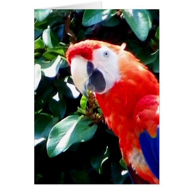 こんにちは_ (正面)