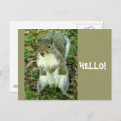 こんにちは、かわいい立リス ポストカード (正面/裏面)