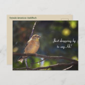 こんにちは、こんにちは ポストカード (正面/裏面)