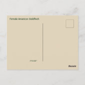 こんにちは、こんにちは ポストカード (裏面)