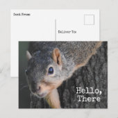 こんにちは、そこに、かわいいリスの写真 ポストカード (正面/裏面)