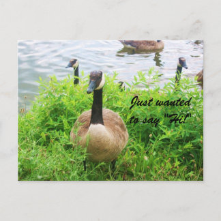 「こんにちは」と言いたかっただけです。 ポストカード