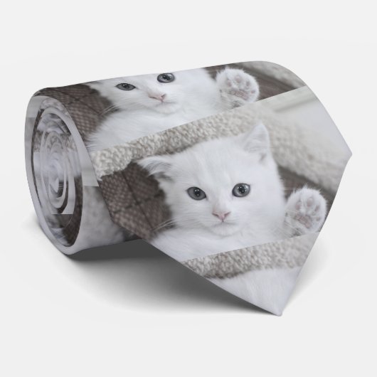 「こんにちは!」と言うこの甘くて可愛い白いベビー子猫 ネクタイ (ロール)