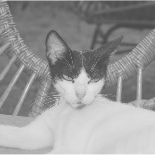 こんにちは、にゃあ... シール (正面)