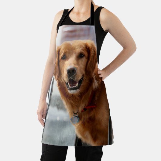 こんにちは エプロン (インサイチュ)