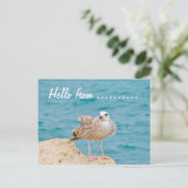 こんにちは….....カモメ ポストカード (スタンド正面)