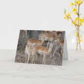 こんにちは カード (黄色い花)