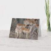 こんにちは カード (正面)